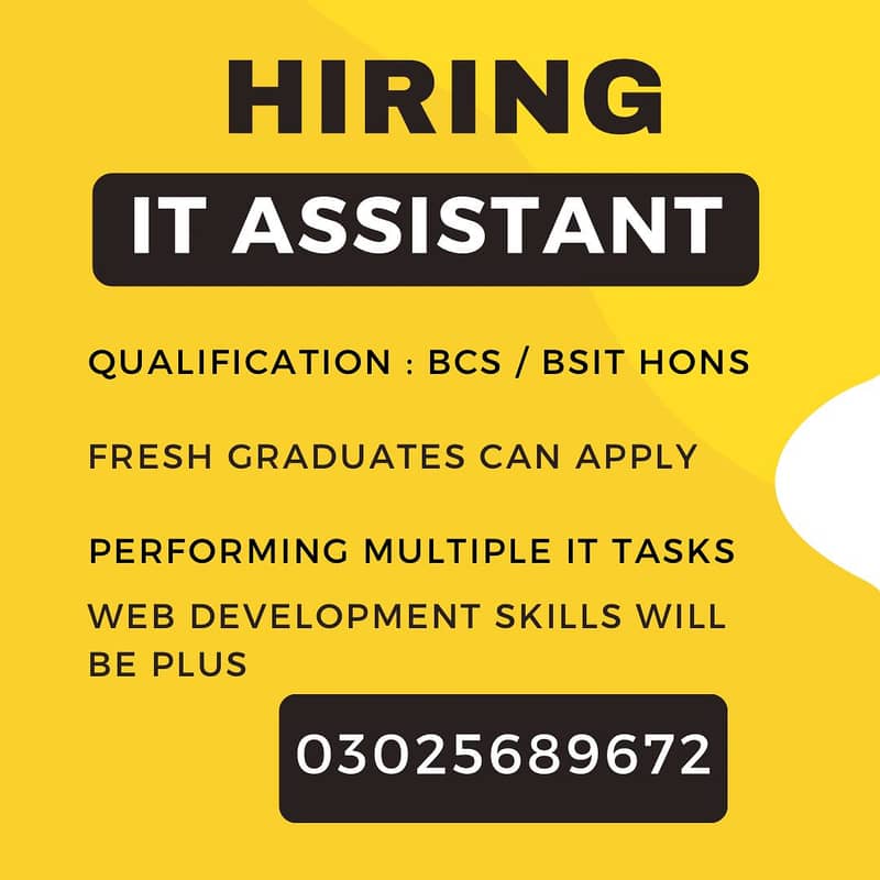 IT ASSISTANT 0