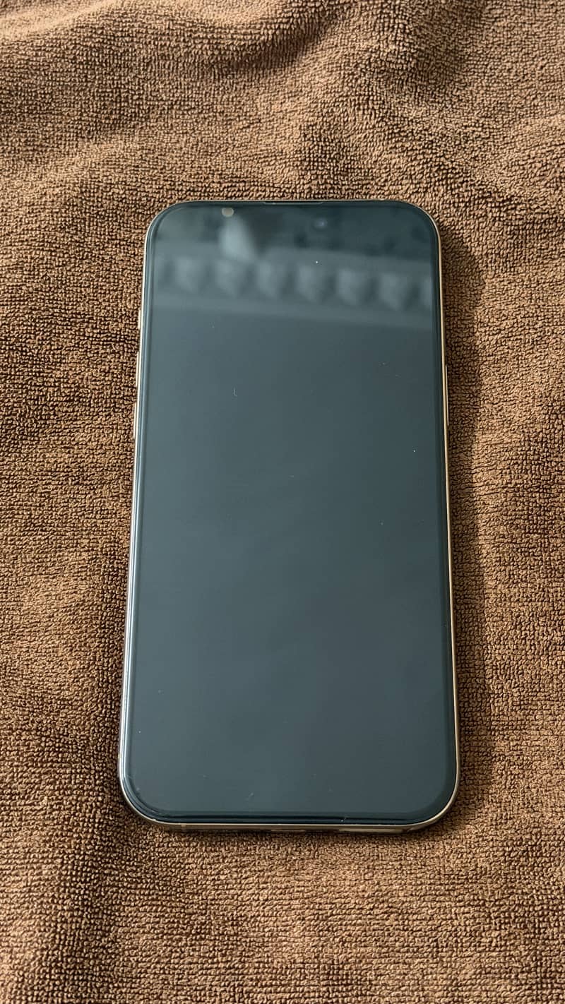 Apple iPhone 16 Pro Max 1
