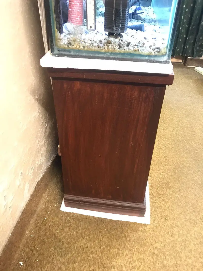 Fish Aquarium — photo 2