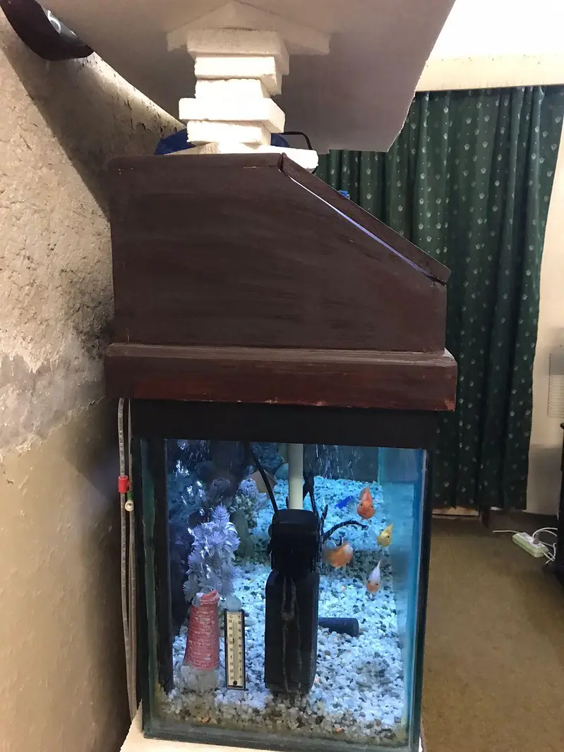 Fish Aquarium — photo 4