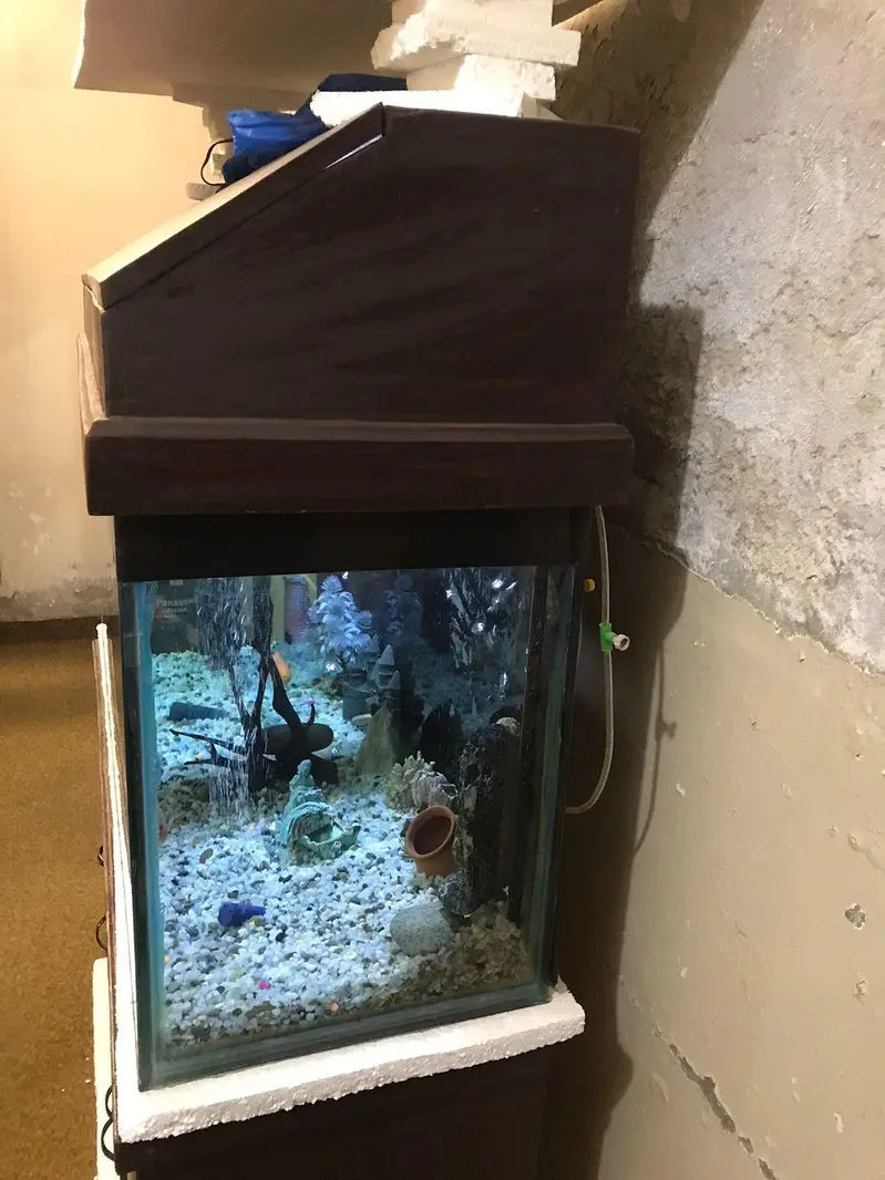 Fish Aquarium — photo 5
