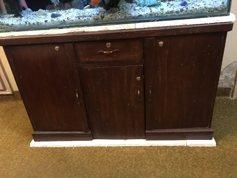 Fish Aquarium — photo 7