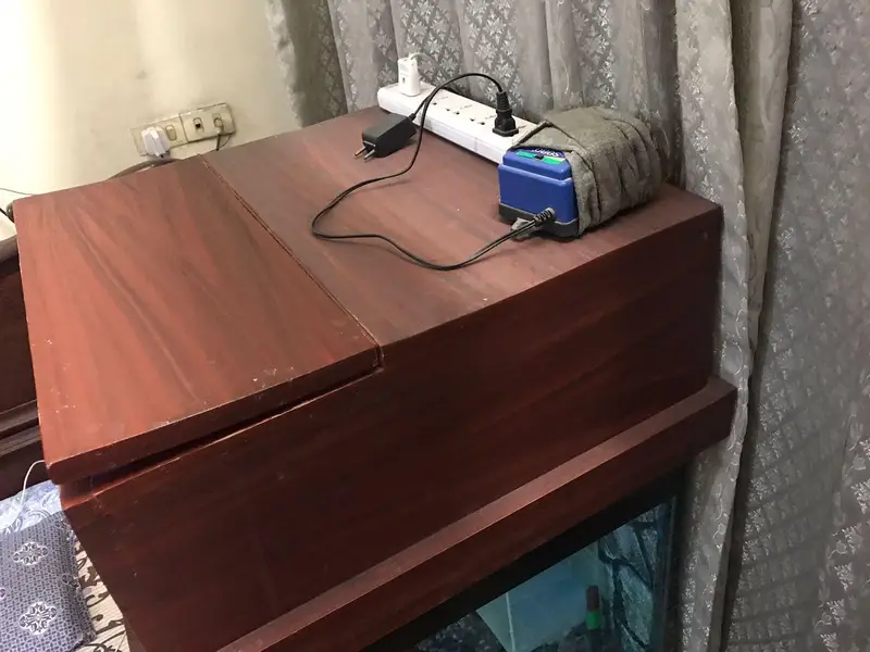 Fish Aquarium — photo 11