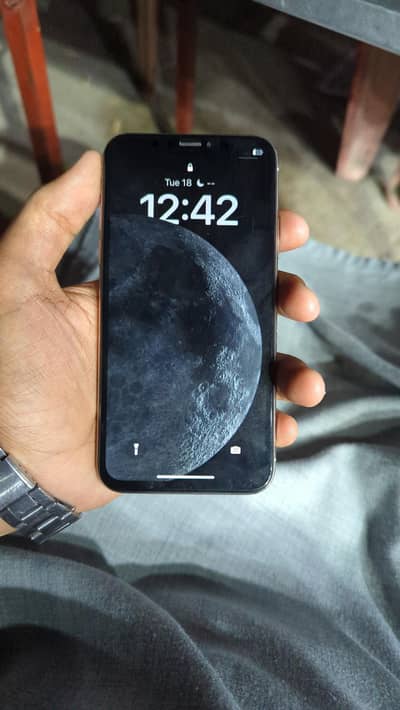 Apple iPhone X