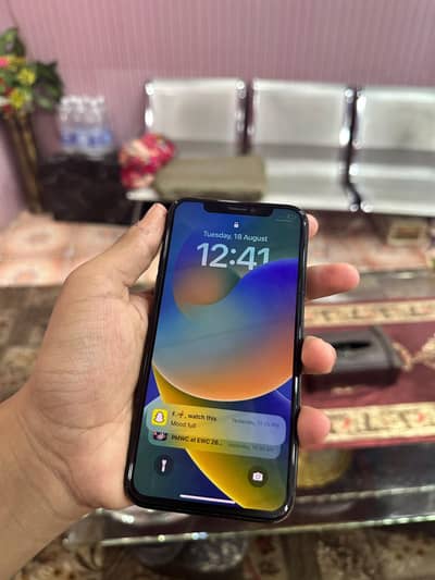 Apple iPhone X