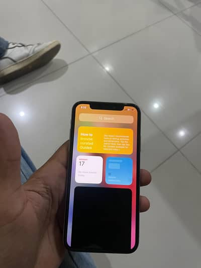 Apple iPhone X