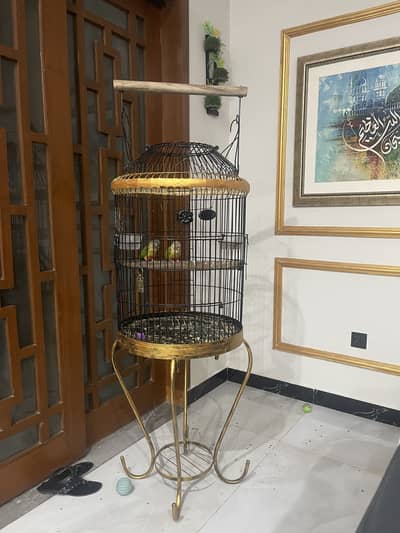 Beautiful cage