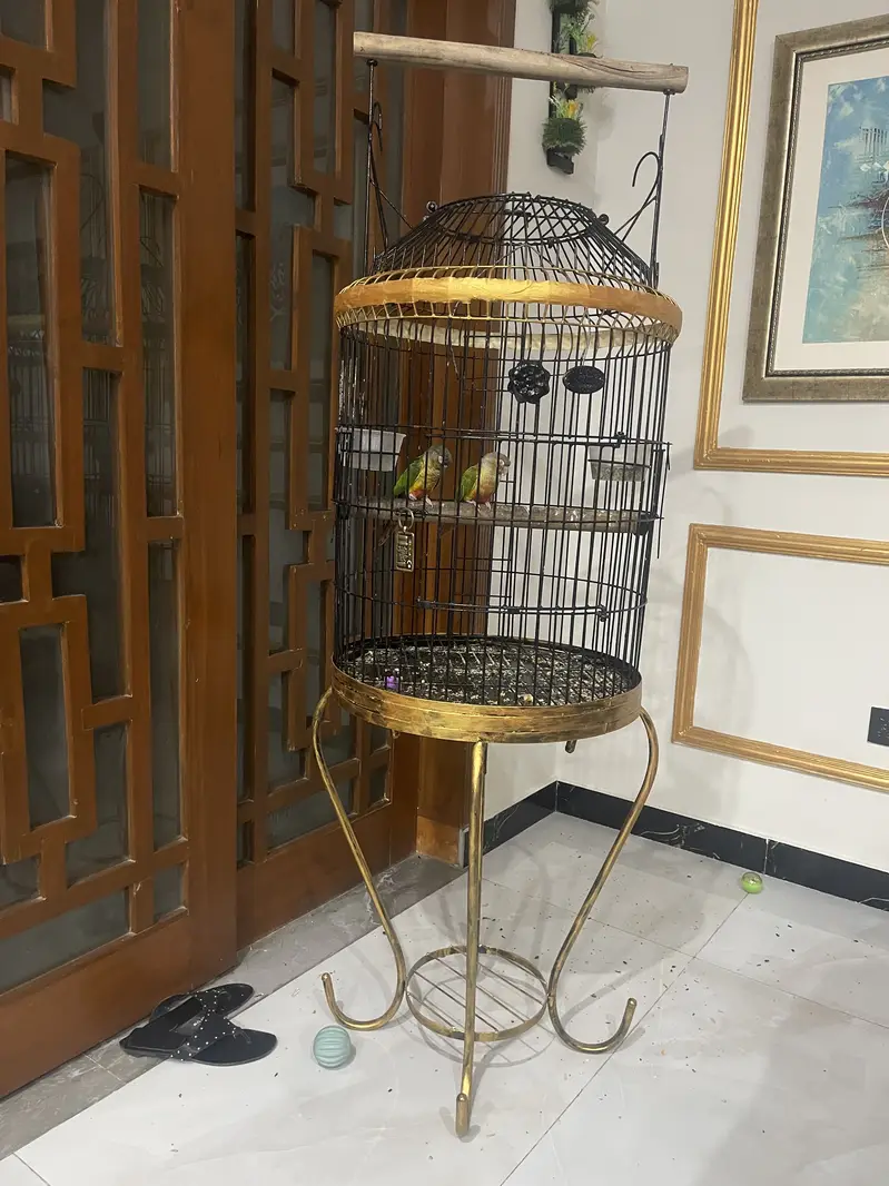 Beautiful cage — photo 6