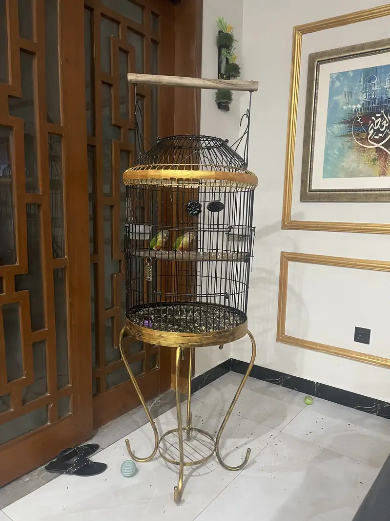 Beautiful cage — photo 7