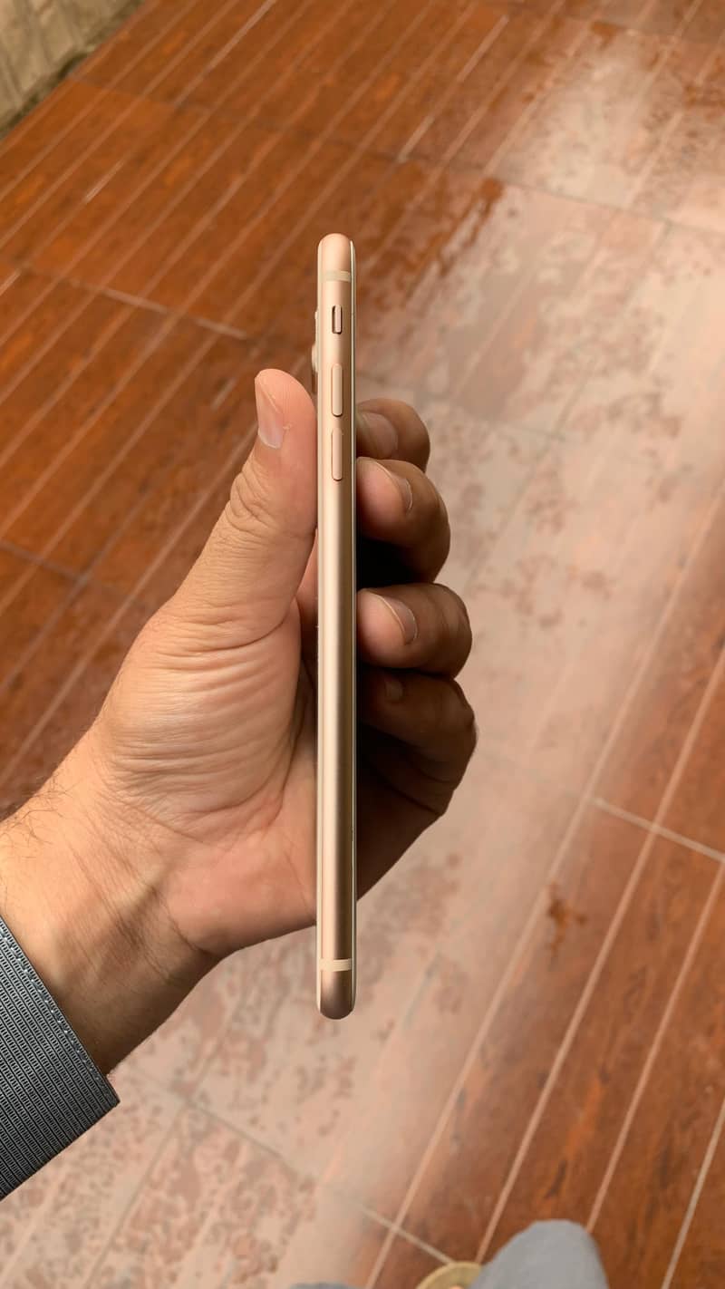 Apple iPhone 8 Plus 2