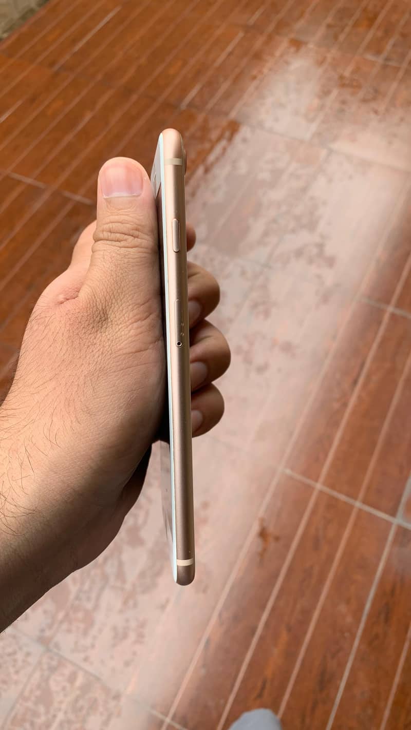 Apple iPhone 8 Plus 3
