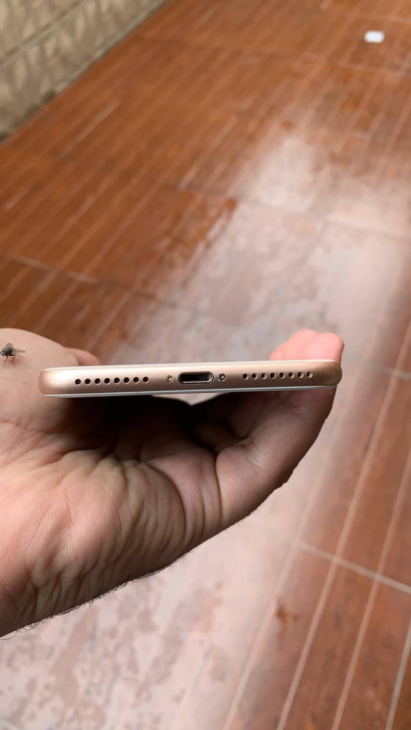 Apple iPhone 8 Plus 4