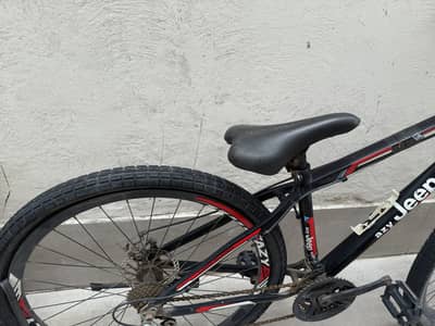 Mountain Cycle with gears