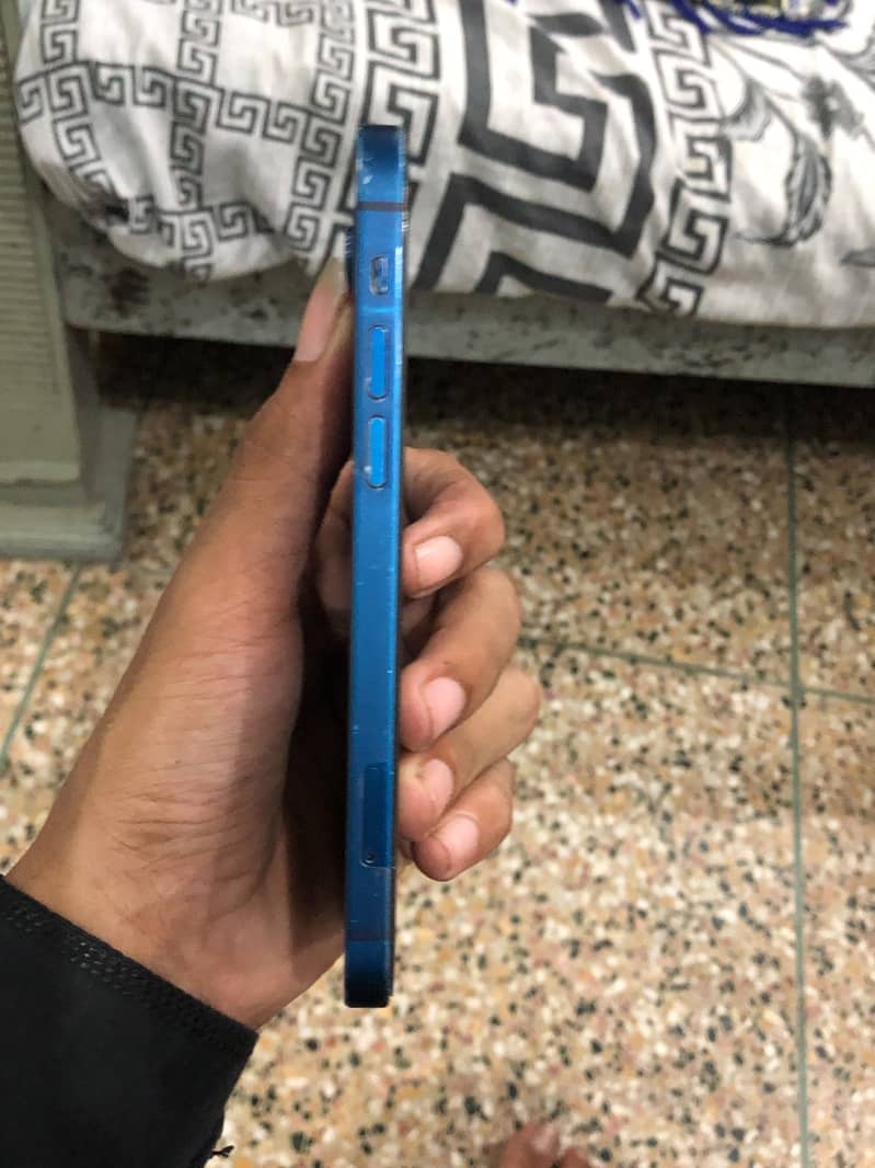 Apple iPhone 12 1