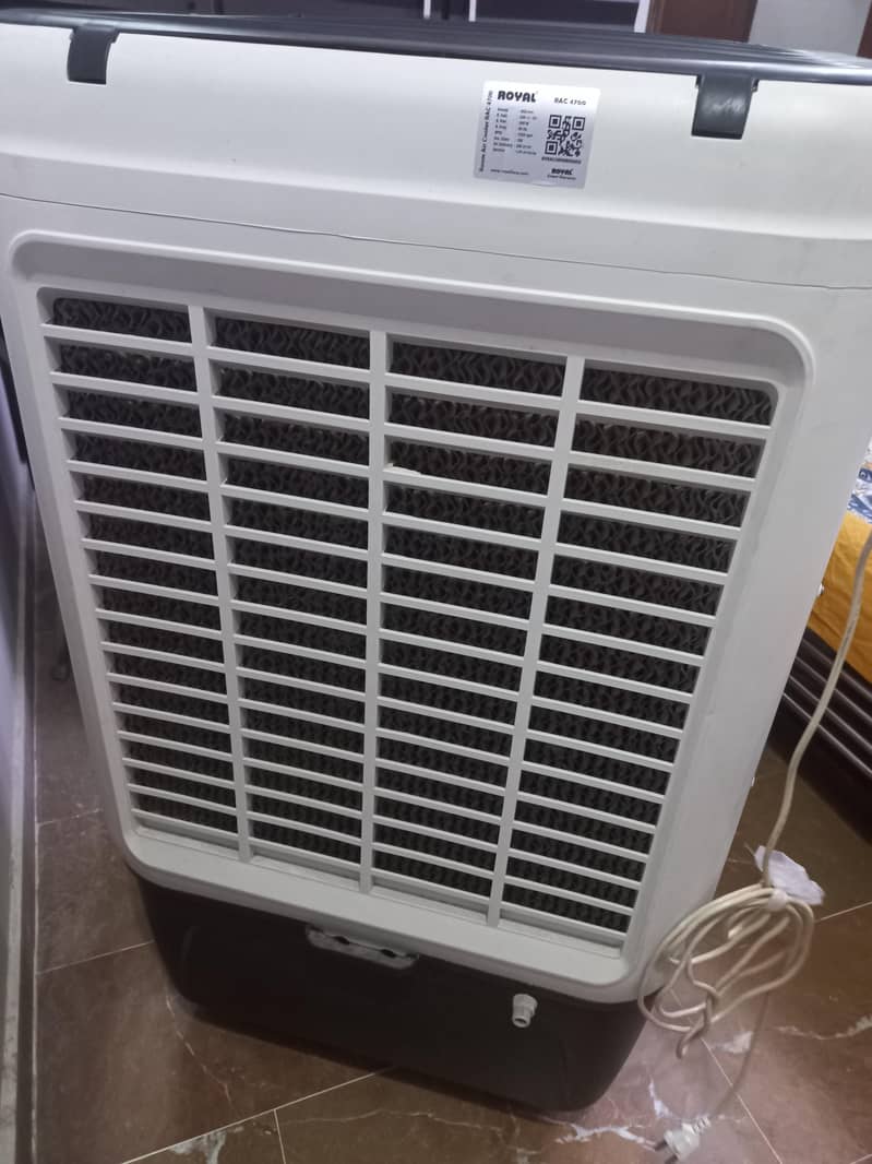 olx. . 1