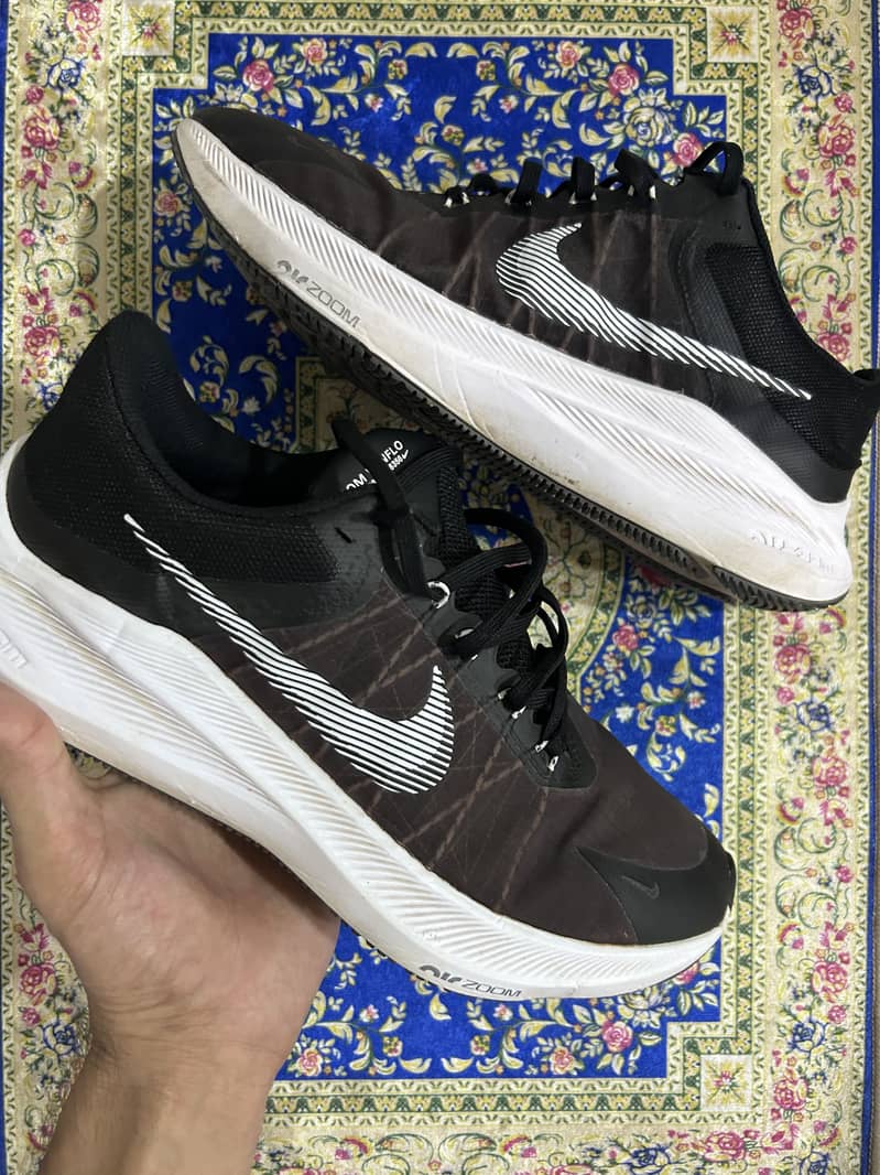 Nike Pegasus 5