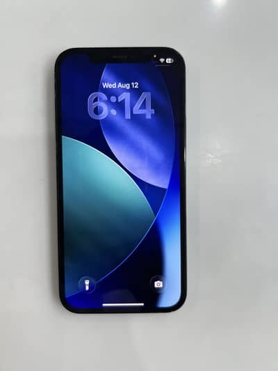 Apple iPhone 12 Pro