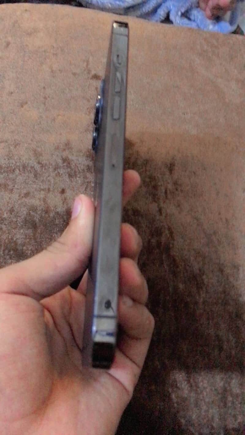 Apple iPhone 13 Pro Max 3