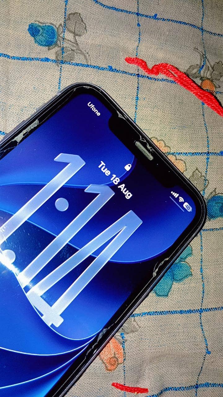 Apple iPhone 11 2
