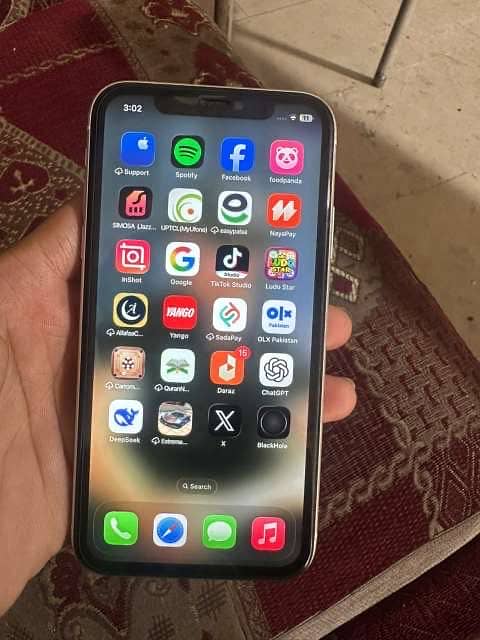 Apple iPhone 11 0
