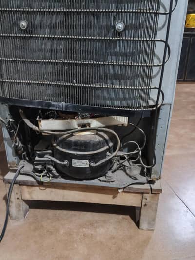 Haier fridge