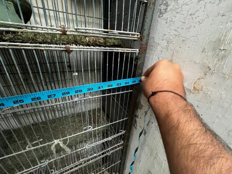 parrots cage used — photo 6