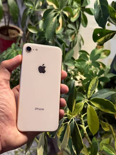 Apple iPhone 8