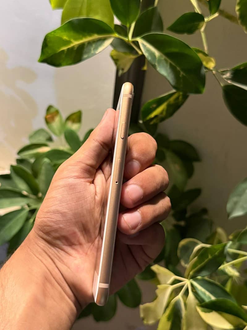 Apple iPhone 8 1