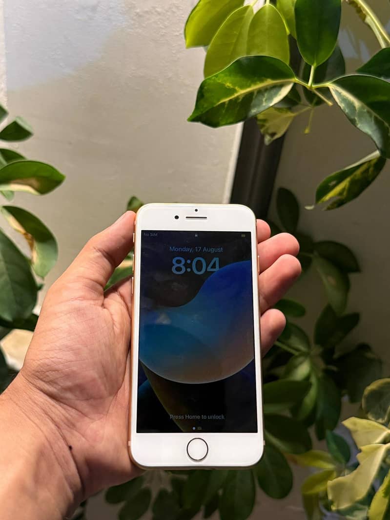 Apple iPhone 8 2