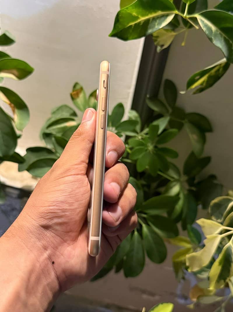 Apple iPhone 8 3