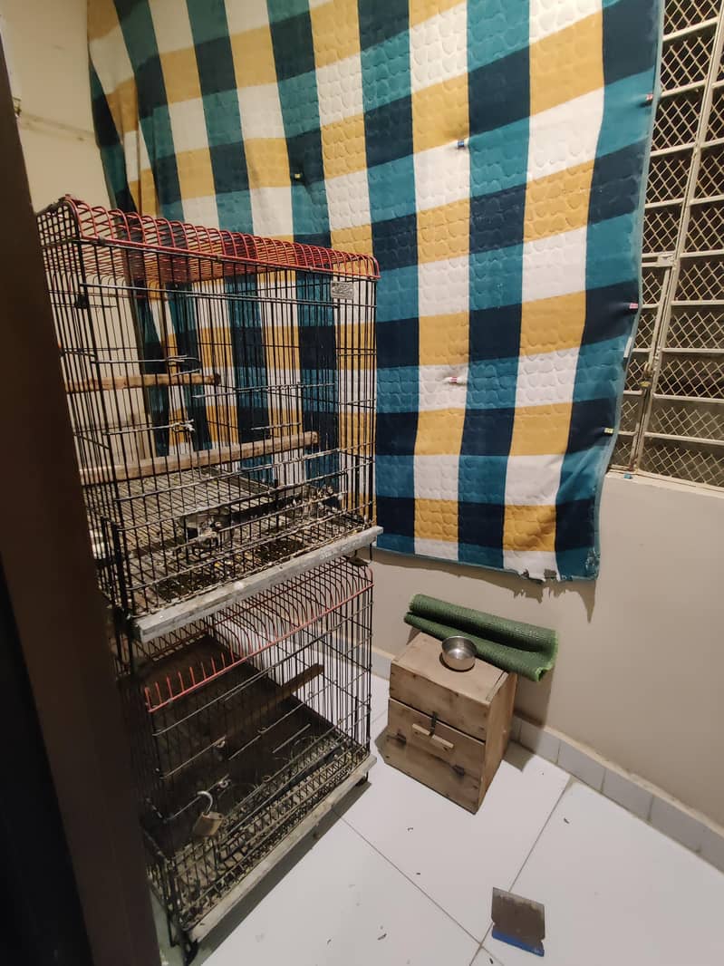 folding cage 2 Portion 1