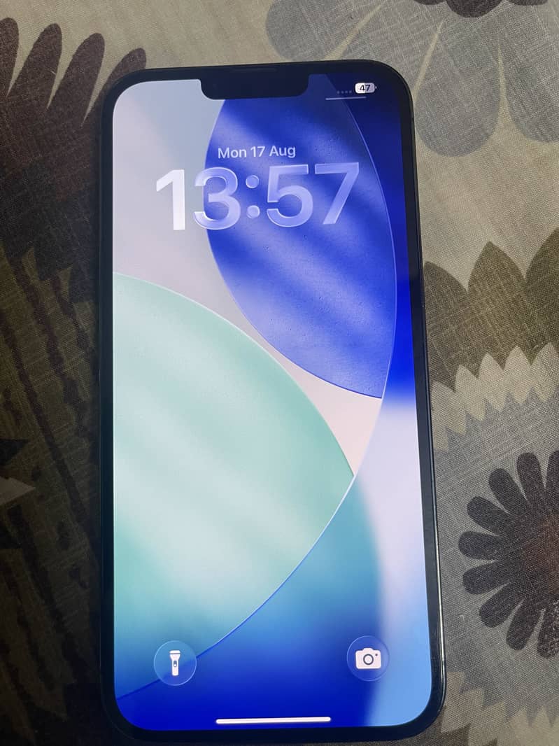 Apple iPhone 13 Pro Max 1