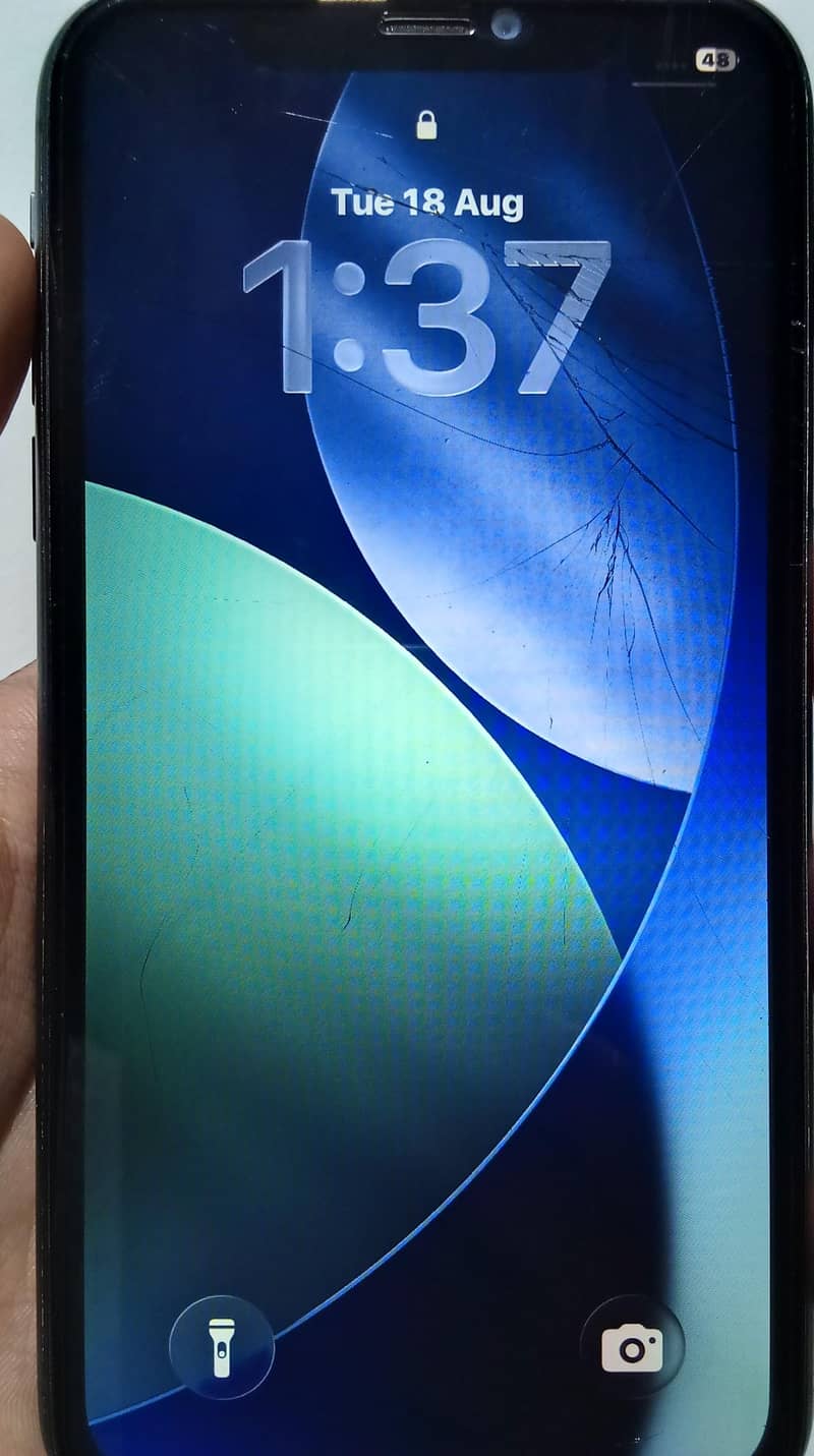Apple iPhone 11 3