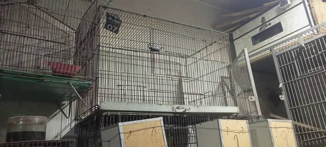 folding cages 3/2/2 or boxes available ha