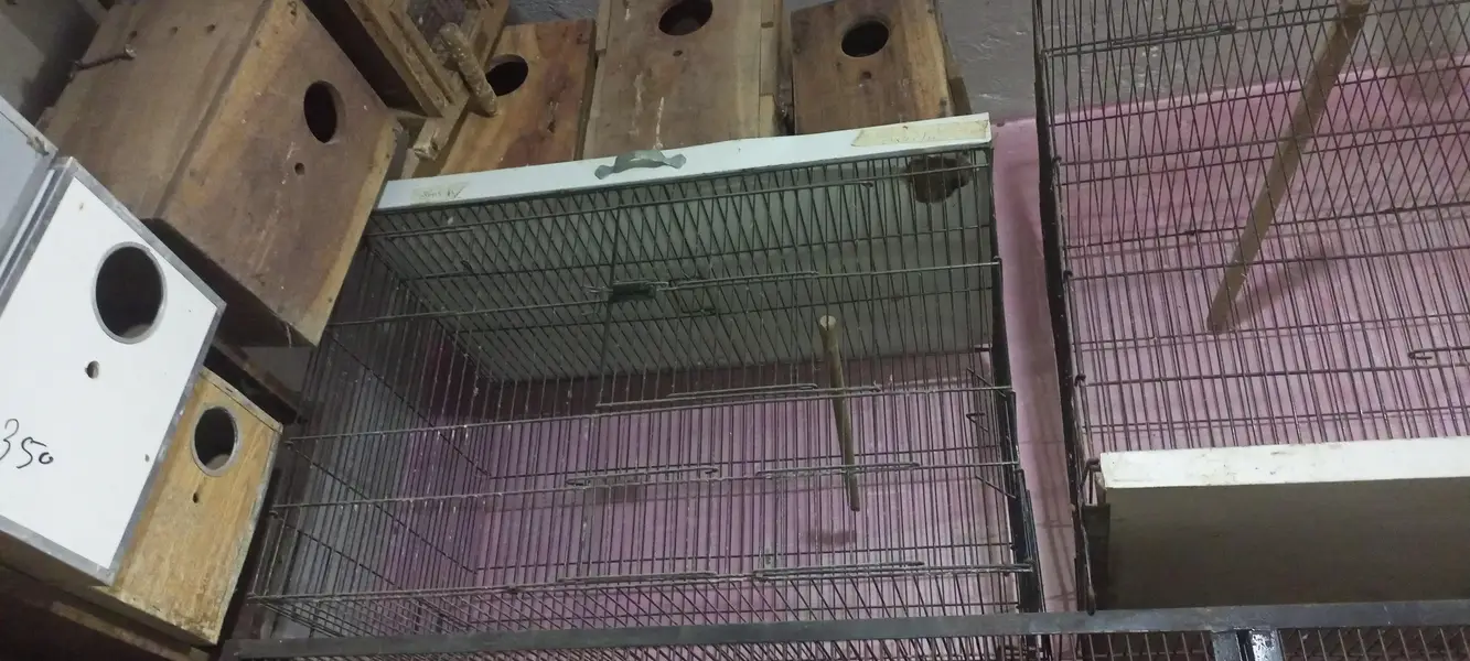 folding cages 3/2/2 or boxes available ha — photo 2