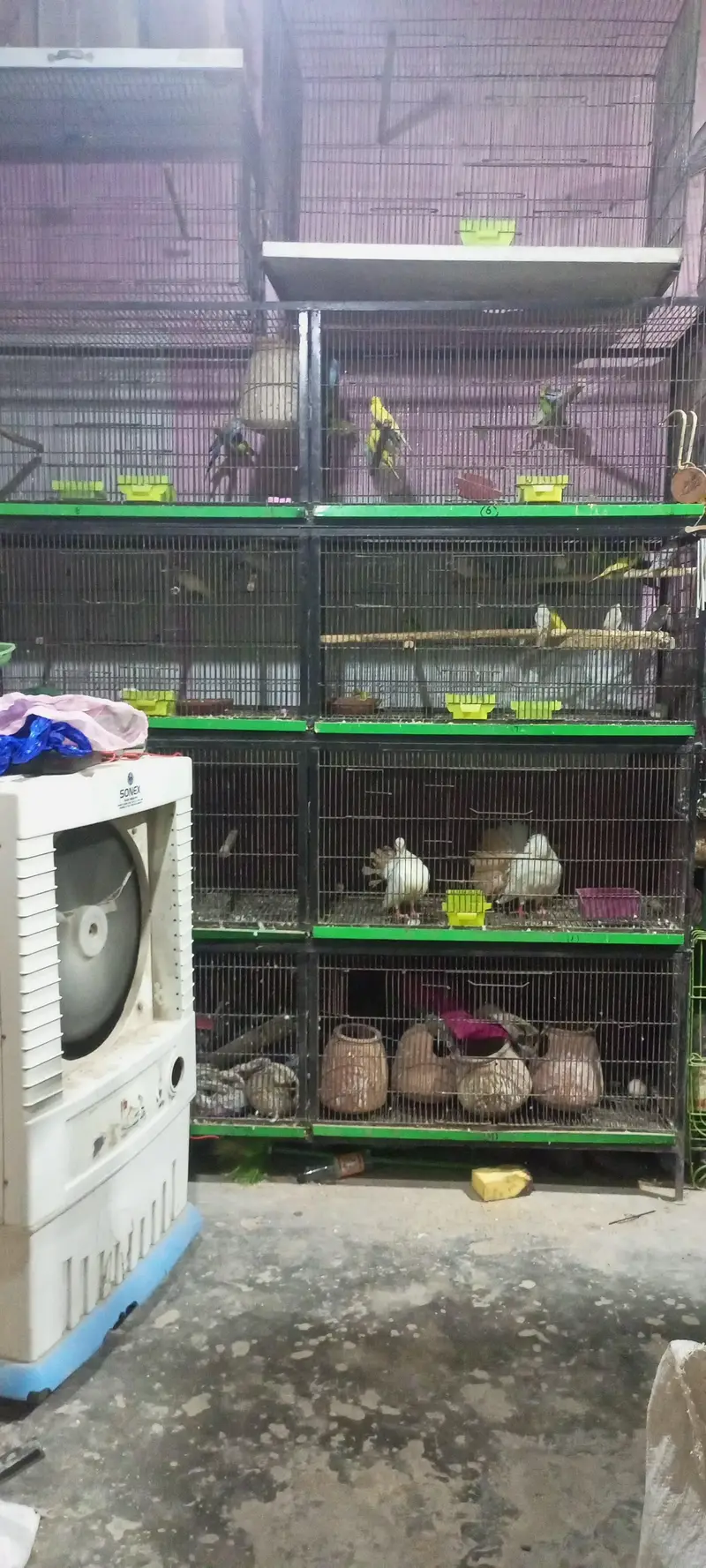 folding cages 3/2/2 or boxes available ha — photo 4