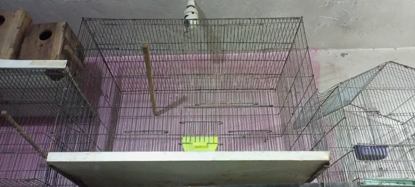 folding cages 3/2/2 or boxes available ha — photo 6
