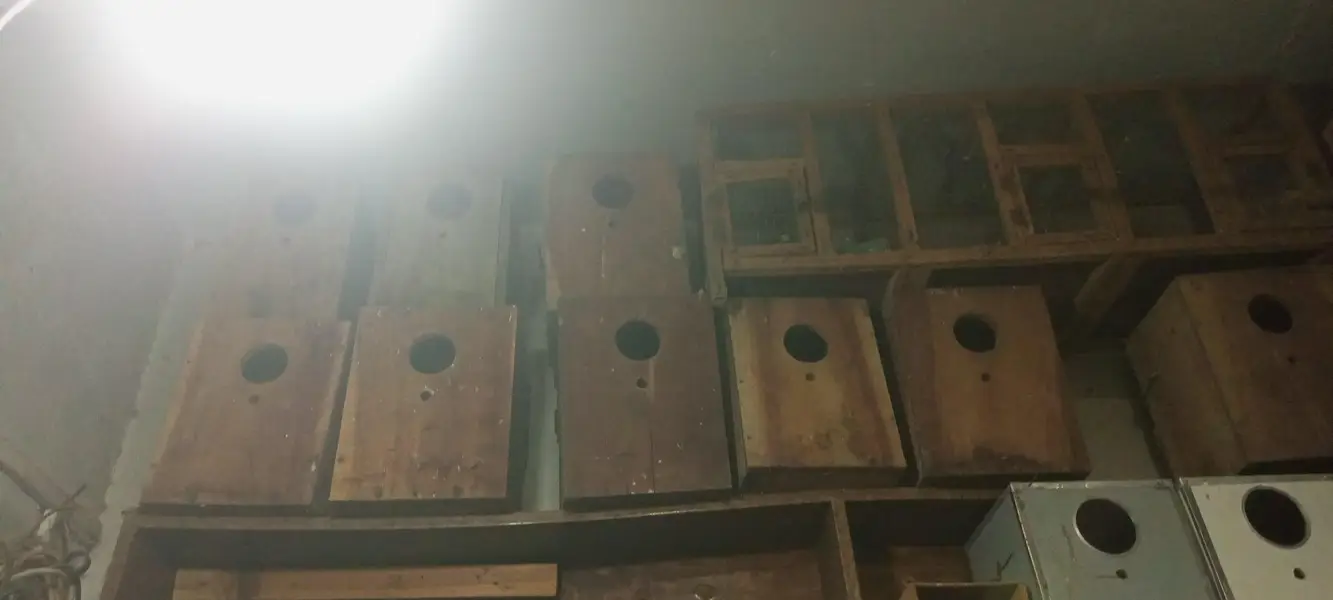 folding cages 3/2/2 or boxes available ha — photo 7