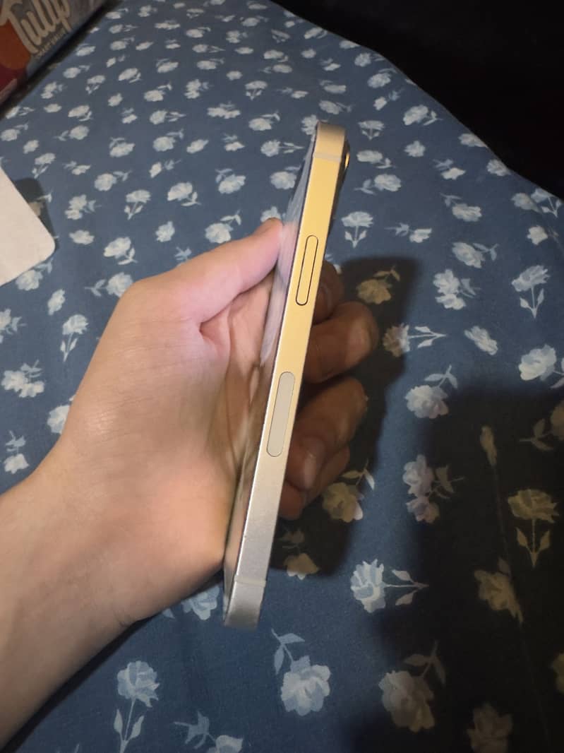 Apple iPhone 13 mini 1
