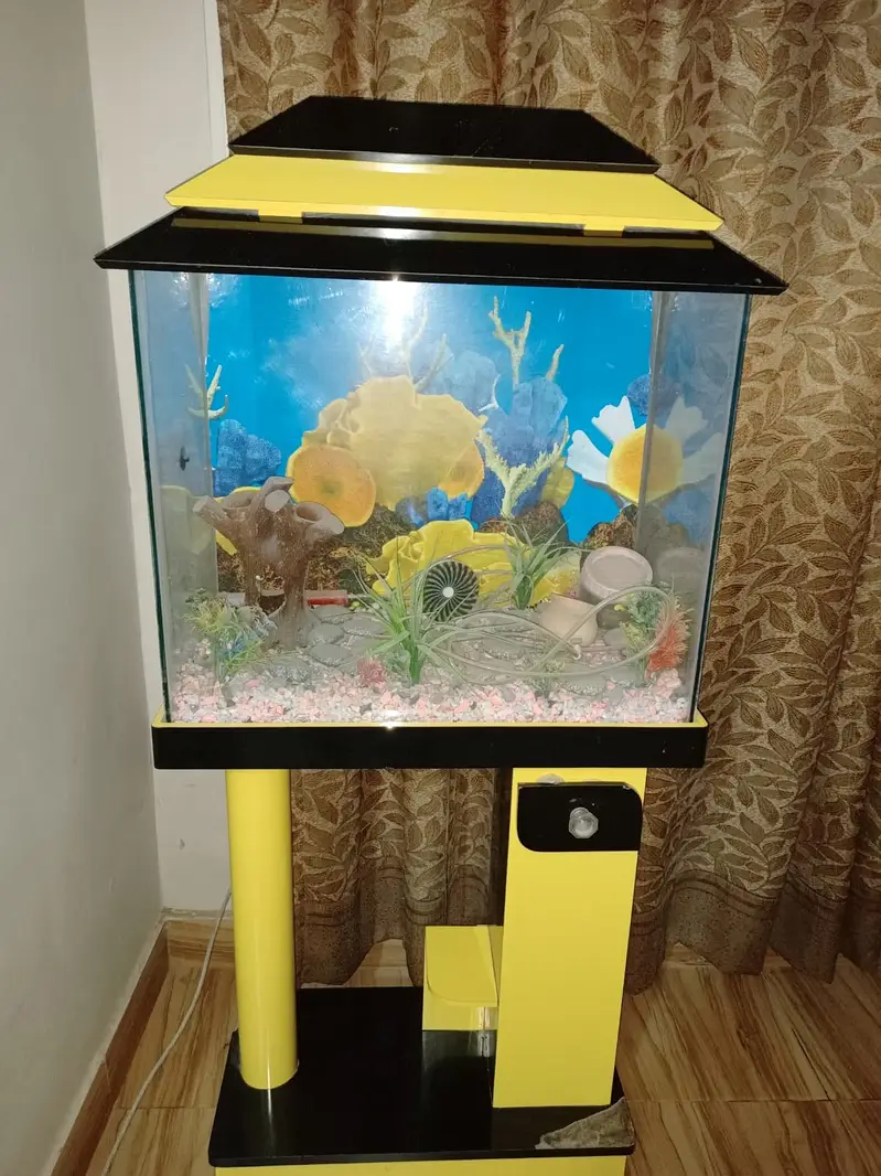 Fish aquarium — photo 2