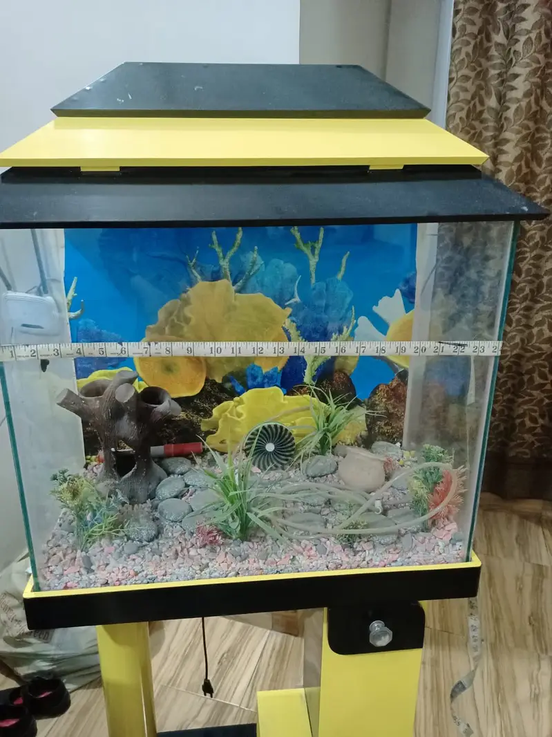 Fish aquarium — photo 3