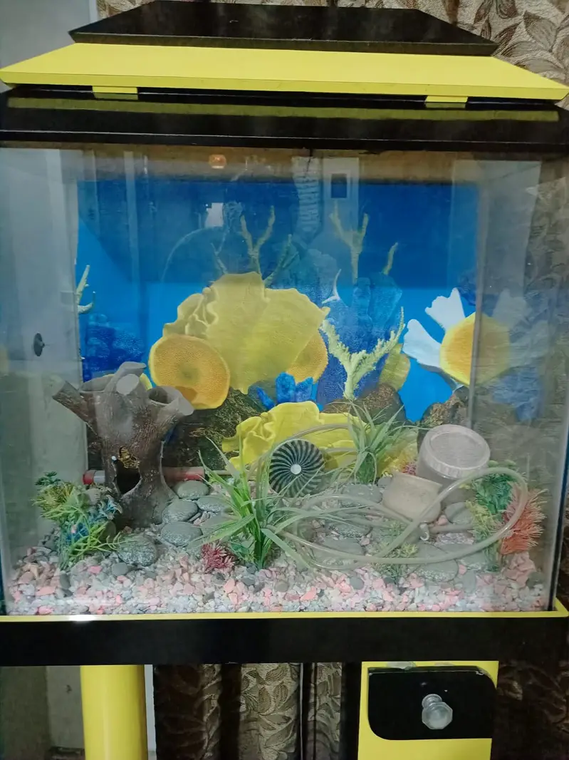 Fish aquarium — photo 5