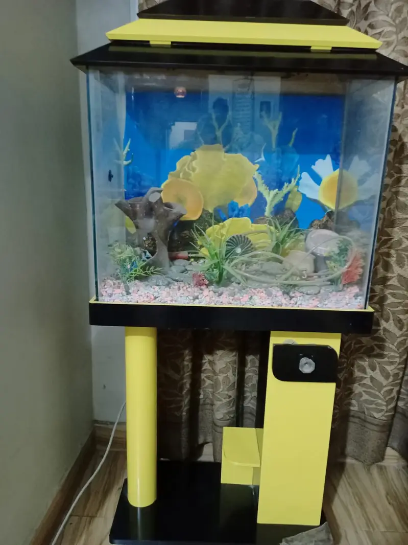 Fish aquarium — photo 6