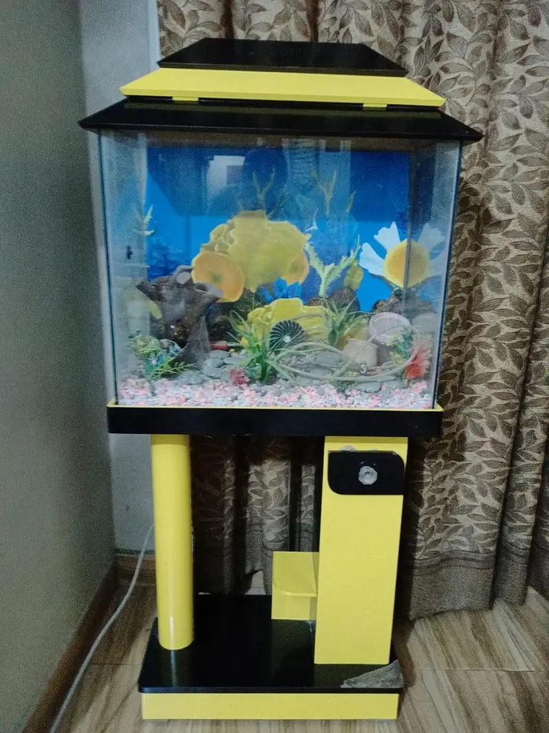 Fish aquarium — photo 7