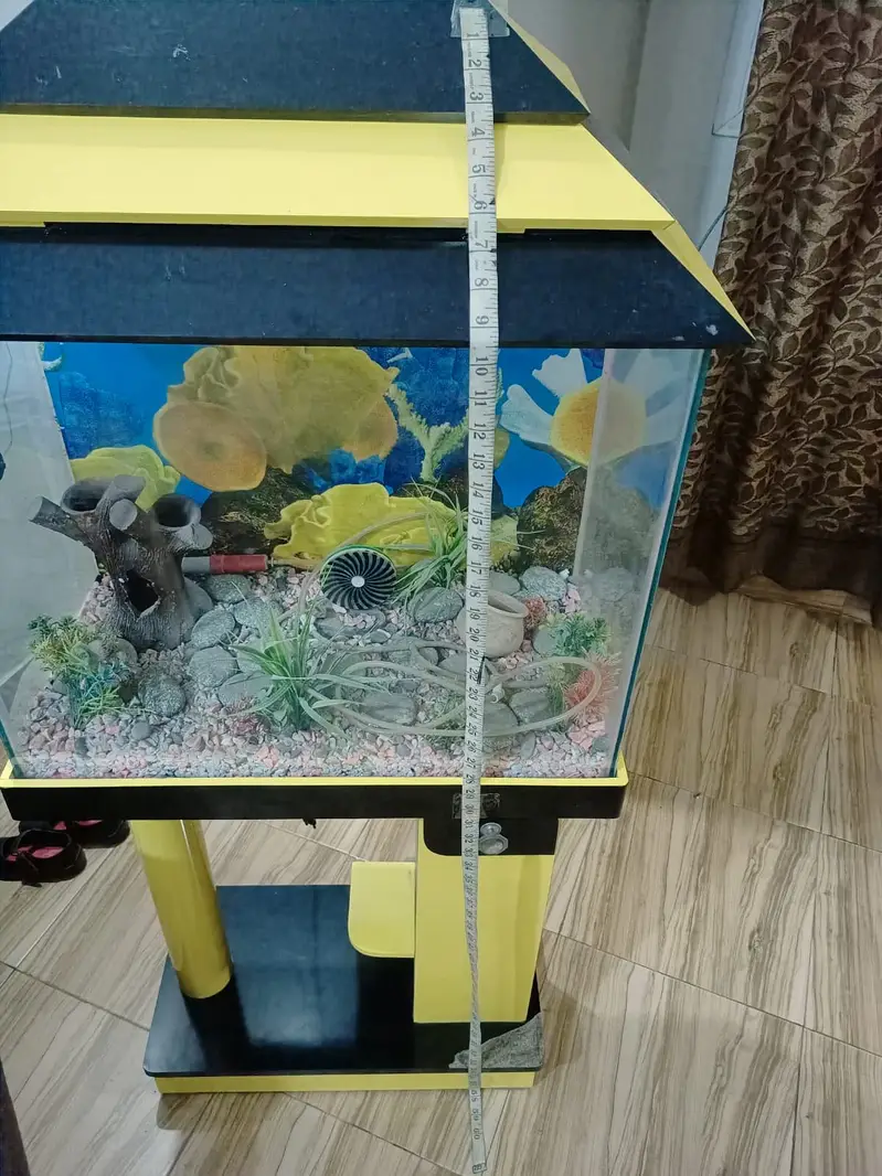 Fish aquarium — photo 8