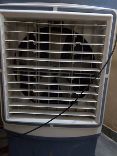 Air collar for sale