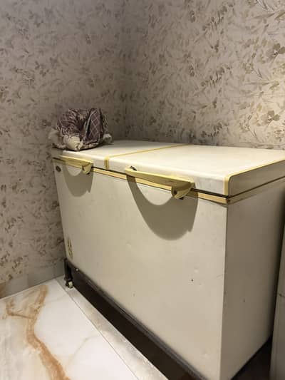 Waves Deep Freezer