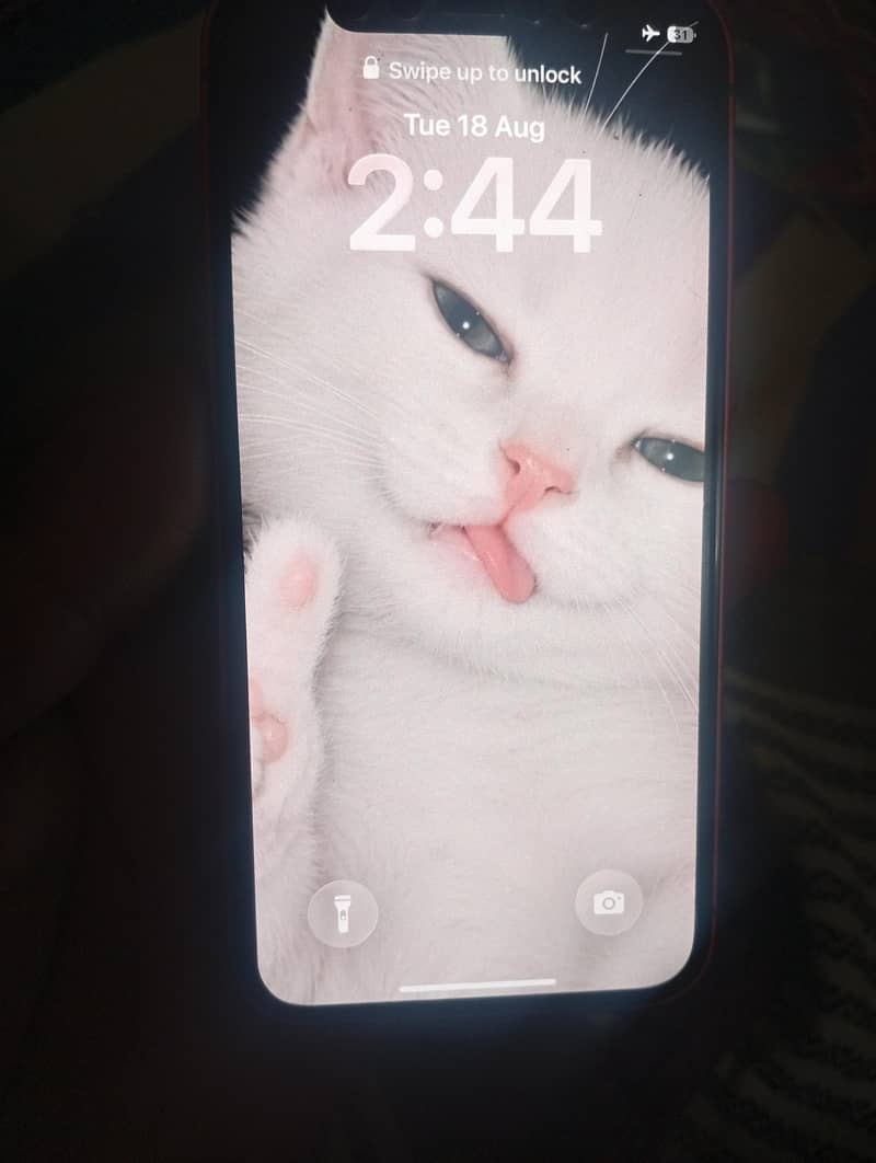 Apple iPhone 12 mini 2