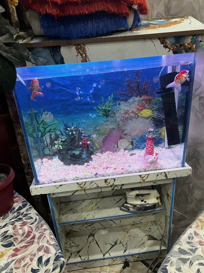 Fish aquarium all setup available filter heater all setup — photo 2
