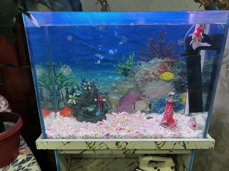 Fish aquarium all setup available filter heater all setup — photo 4